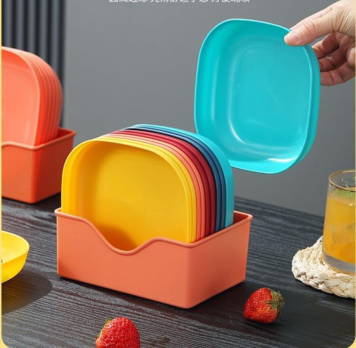 10 Pieces Plate Set