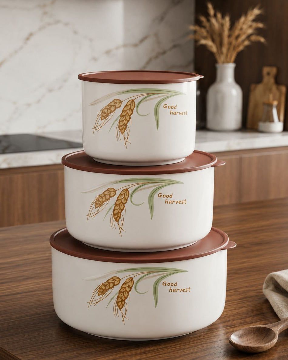 3 pcs Air Tight Ceramic Bowl Set