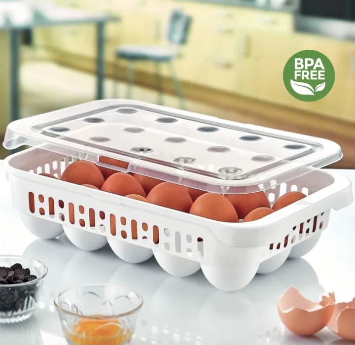 15 GRID EGG TRAY (RANDOM COLOR)