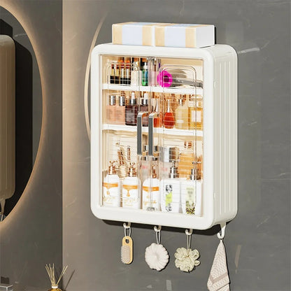 Wall Mounted Cabinet