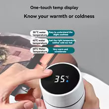Temperature Water Bottle