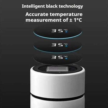 Temperature Water Bottle